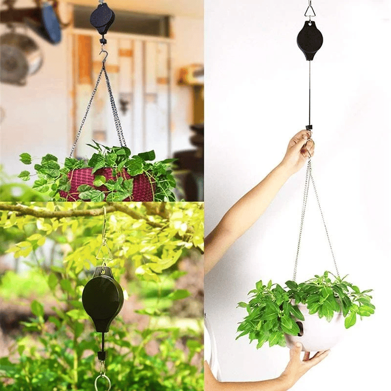 Mess-Free Plant Hanging
